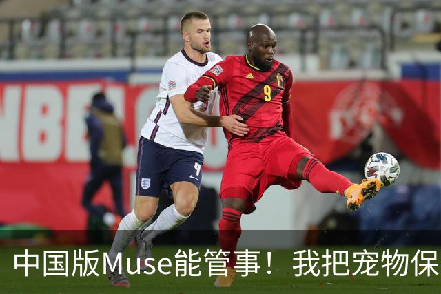 中国版Muse能管事！我把宠物保单、双11算价和周末旅行全交给了灵光2.0