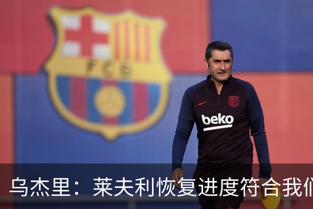 乌杰里：莱夫利恢复进度符合我们的预期 球队会保持耐心