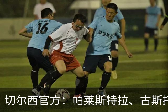 切尔西官方：帕莱斯特拉、古斯托等球员今日在科巴姆参加训练