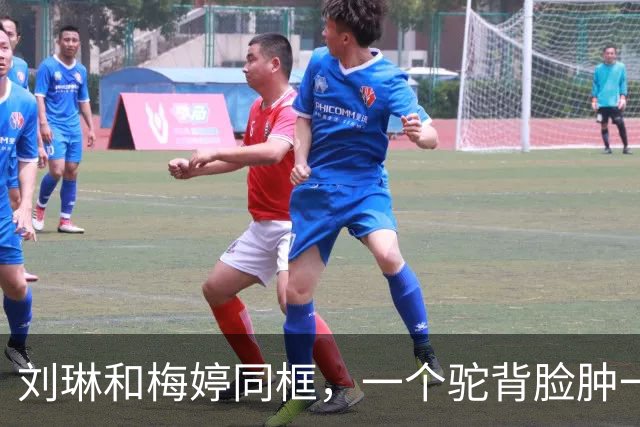 刘琳和梅婷同框，一个驼背脸肿一个苗条好嫩，皮相骨相区别明显