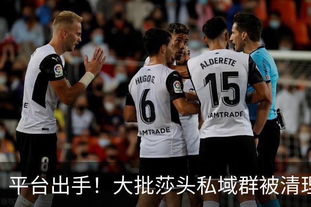 平台出手！大批莎头私域群被清理，饭圈乱象整治，全网纷纷叫好