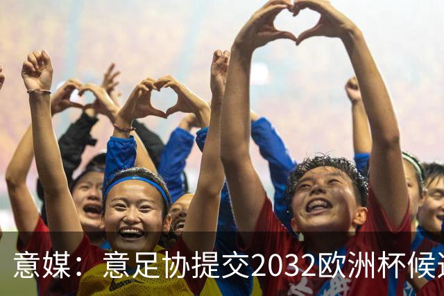 意媒：意足协提交2032欧洲杯候选球场名单，包含14座球场