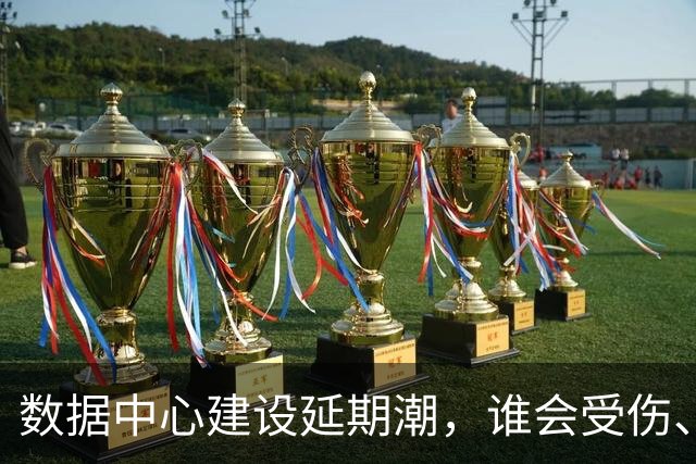 数据中心建设延期潮，谁会受伤、谁将受益？