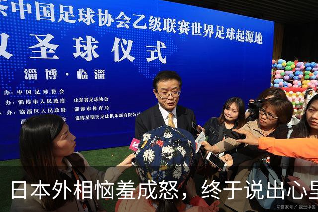 日本外相恼羞成怒，终于说出心里话：不准中国援引“敌国条款”