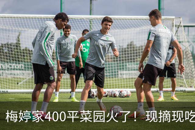 梅婷家400平菜园火了！现摘现吃连颖儿都吃到礼服扣不上
