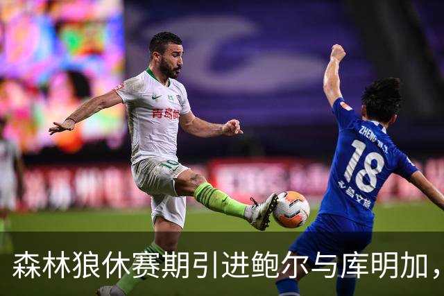 森林狼休赛期引进鲍尔与库明加，未来或东迁东部