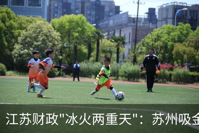 江苏财政"冰火两重天"：苏州吸金、苏北逆袭、徐州失速