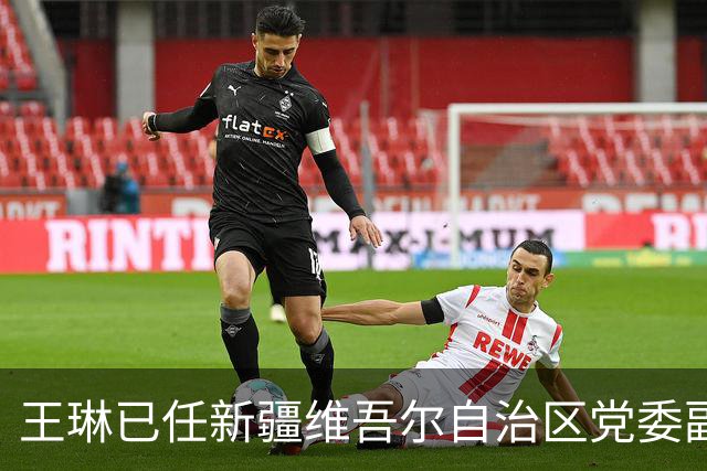 王琳已任新疆维吾尔自治区党委副书记