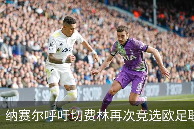 纳赛尔呼吁切费林再次竞选欧足联主席：足球需要你，我们需要你