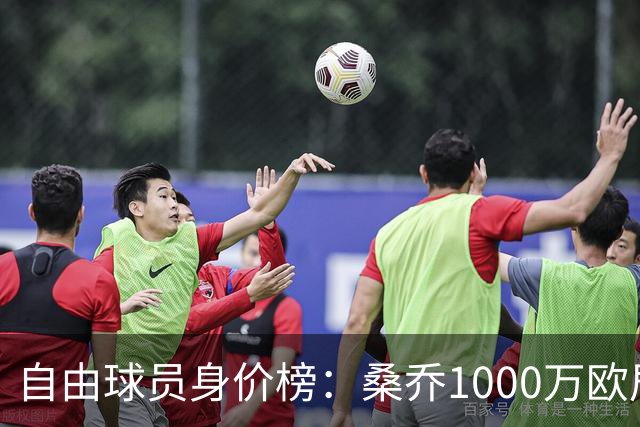 自由球员身价榜：桑乔1000万欧居首，津琴科、本泽马、马夏尔在列