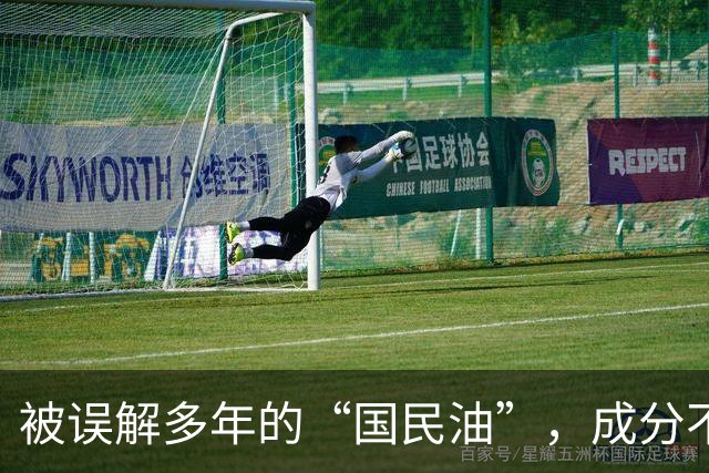 被误解多年的“国民油”，成分不输橄榄油，炒菜健康又实惠！