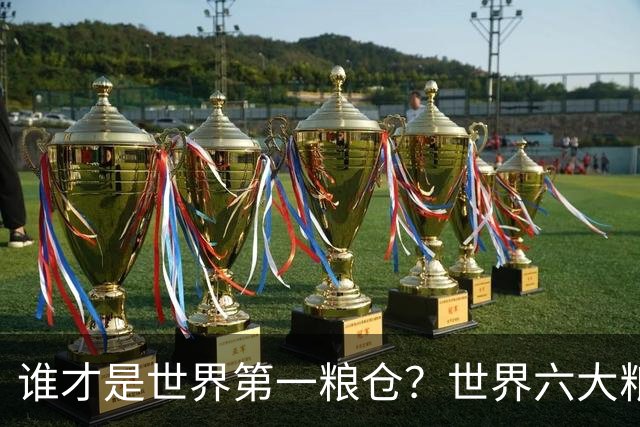 谁才是世界第一粮仓？世界六大粮食生产国，都有谁？