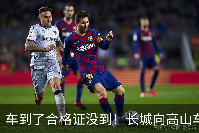 车到了合格证没到！长城向高山车主致歉：误判了通过的时间