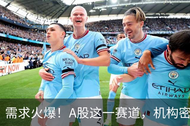 需求火爆！A股这一赛道，机构密集调研