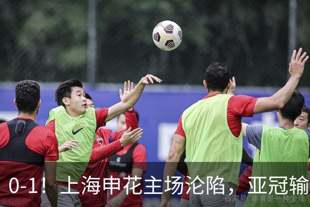 0-1！上海申花主场沦陷，亚冠输给日本球队，遭遇两连败