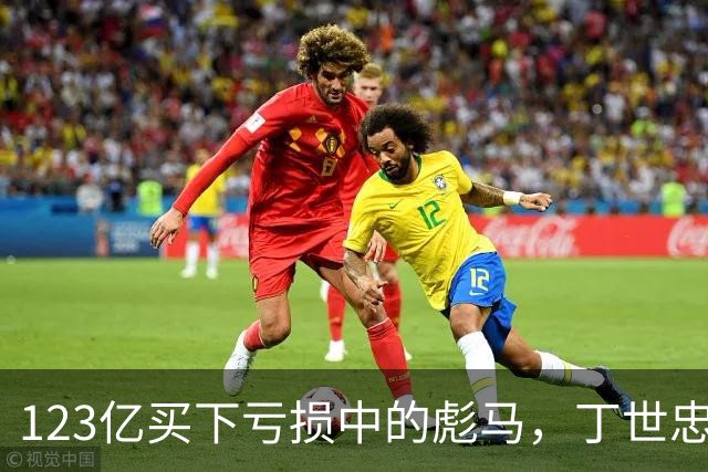 123亿买下亏损中的彪马，丁世忠的“全球棋局”再落一子