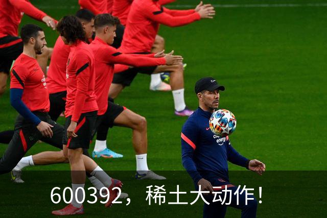 600392，稀土大动作！