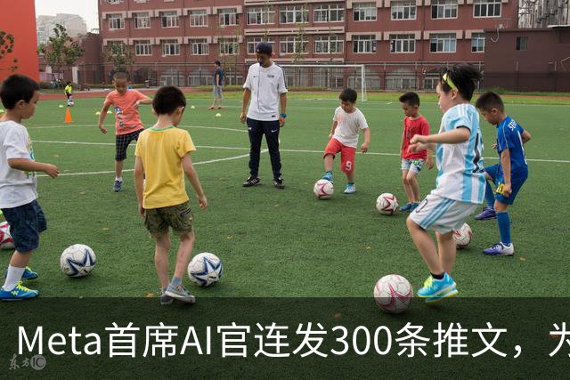 Meta首席AI官连发300条推文，为Muse造势并嘲讽对手