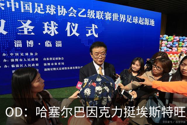 OD：哈塞尔巴因克力挺埃斯特旺